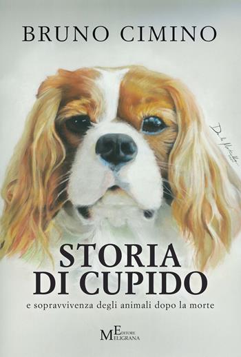 Storia di Cupido e sopravvivenza degli animali dopo la morte - Bruno Cimino - Libro Meligrana Giuseppe Editore 2021 | Libraccio.it