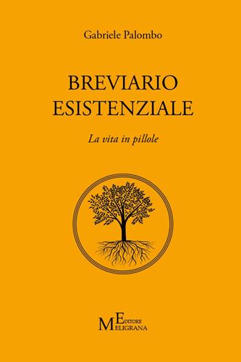 Breviario esistenziale. La vita in pillole - Gabriele Palombo - Libro Meligrana Giuseppe Editore 2025, Spirituale | Libraccio.it