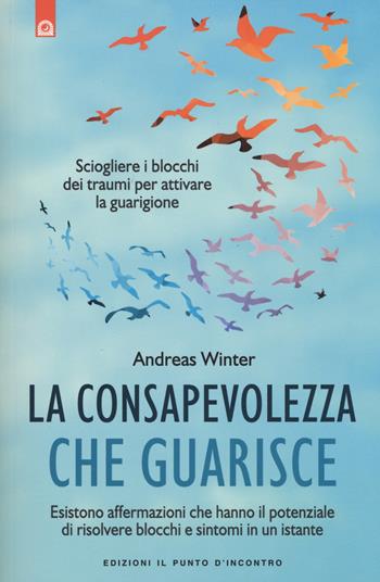La consapevolezza che guarisce. Esistono affermazioni che hanno il potenziale di risolvere blocchi e sintomi in un istante - Andreas Winter - Libro Edizioni Il Punto d'Incontro 2015, Salute, benessere e psiche | Libraccio.it