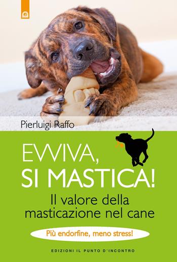 Evviva, si mastica! Il valore della masticazione nel cane. Più endorfine, meno stress! Ediz. illustrata - Pierluigi Raffo - Libro Edizioni Il Punto d'Incontro 2017 | Libraccio.it