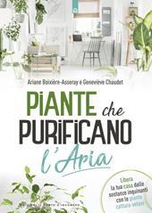 Piante che purificano l'aria