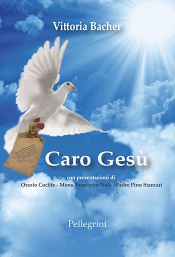 Caro Gesù - Vittoria Bacher - Libro Pellegrini 2017 | Libraccio.it