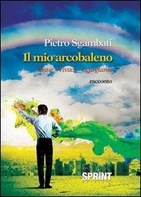 Il mio arcobaleno. Tenue, vivace, sgargiante - Pietro Sgambati - Libro BooksprintEdizioni 2013 | Libraccio.it