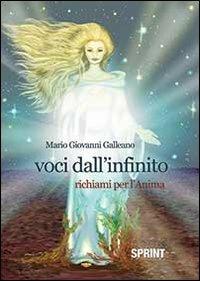 Voci dall'infinito. Richiami per l'anima - M. Giovanni Galleano - Libro BooksprintEdizioni 2013 | Libraccio.it
