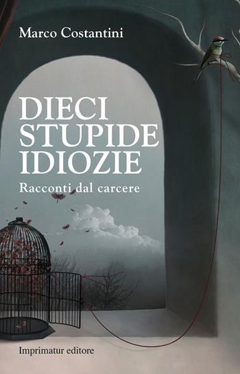 Dieci stupide idiozie - Marco Costantini - Libro Imprimatur 2014, Fuori collana | Libraccio.it