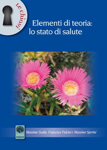 Elementi di teoria. Lo stato di salute - Massimo Scalia, Francesca Pulcini, Massimo Sperini - Libro Andromeda 2015, Le chiavi | Libraccio.it