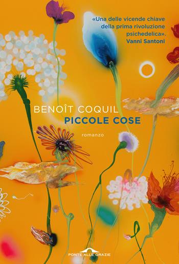 Piccole cose - Benoît Coquil - Libro Ponte alle Grazie 2024, Scrittori | Libraccio.it