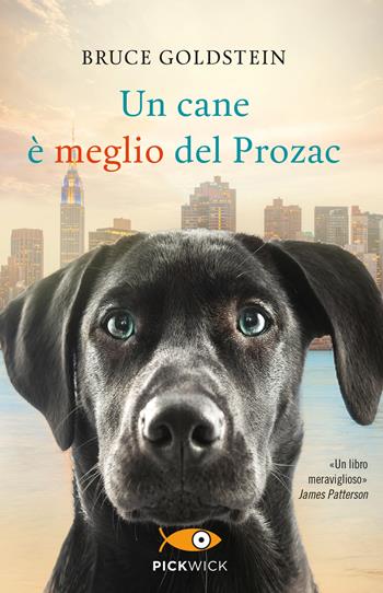 Un cane è meglio del Prozac - Bruce Goldstein - Libro Piemme 2017, Pickwick | Libraccio.it