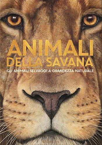Animali della savana. Gli animali selvaggi a grandezza naturale. Ediz. illustrata - Holger Haag - Libro Crealibri 2022, Star | Libraccio.it