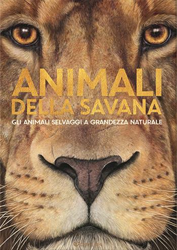 Animali della savana. Gli animali selvaggi a grandezza naturale. Ediz. a colori - Holger Haag - Libro Crealibri 2022, Star | Libraccio.it