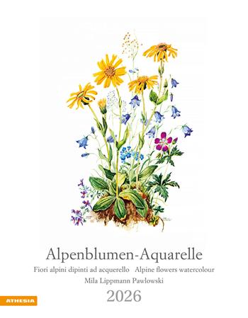 Alpenblumen-Aquarelle. Fiori alpini dipinti ad acquerello. Calendario grande 2026  - Libro Athesia 2025 | Libraccio.it