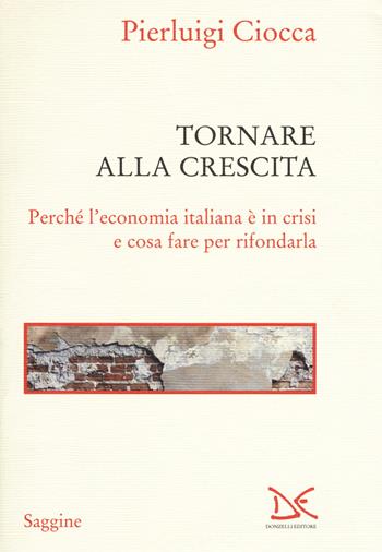 Tornare alla crescita. Perché l'economia italiana è in crisi e cosa fare per rifondarla - Pierluigi Ciocca - Libro Donzelli 2018, Saggine | Libraccio.it