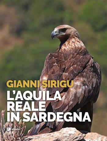 L' aquila reale in Sardegna - Gianni Sirigu - Libro Arkadia 2017, Arthè | Libraccio.it