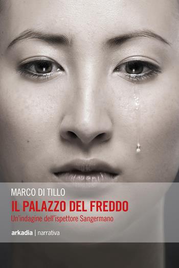 Il palazzo del freddo. Un'indagine dell'ispettore Sangermano - Marco Di Tillo - Libro Arkadia 2017, Eclypse | Libraccio.it