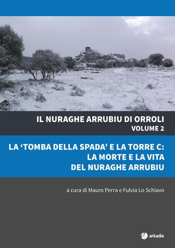 Il nuraghe Arrubiu di Orroli. Con DVD-ROM. Vol. 2: «tomba della spada» e la torre C: la morte e la vita del nuraghe Arrubiu, La.  - Libro Arkadia 2019, Itinera | Libraccio.it