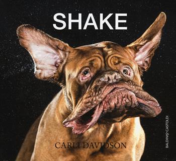 Shake. Ediz. illustrata - Carli Davidson - Libro Baldini + Castoldi 2014 | Libraccio.it