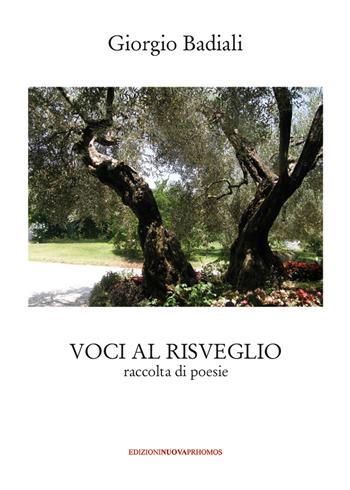 Voci al risveglio. Raccolta di poesie - Giorgio Badiali - Libro Nuova Prhomos 2017 | Libraccio.it