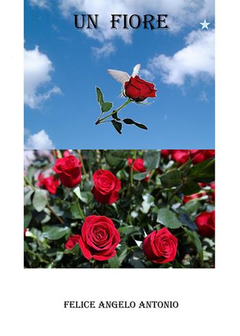 Un fiore - Felice Angelo Antonio - Libro Nuova Prhomos 2021 | Libraccio.it