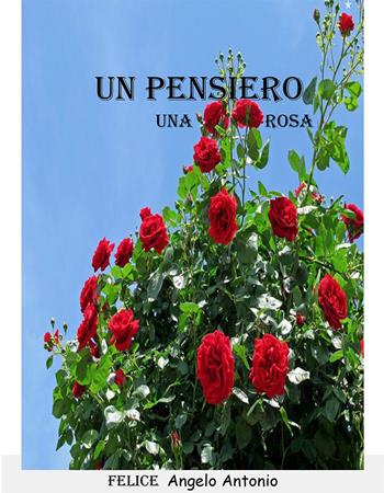 Il saluto del mattino - Felice Angelo Antonio - Libro Nuova Prhomos 2023 | Libraccio.it