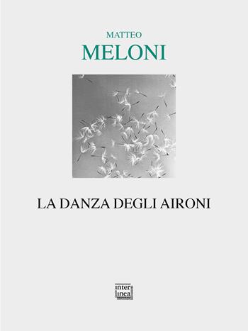 La danza degli aironi - Meloni Matteo - Libro Interlinea 2024, Lyra | Libraccio.it