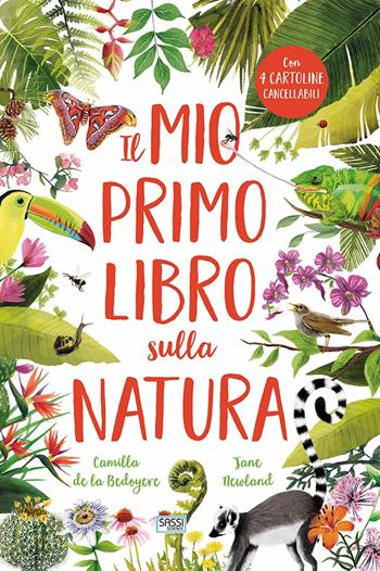 Il mio primo libro sulla natura. Ediz. a colori - Camilla de La Bédoyère - Libro Sassi 2018, Sassi junior | Libraccio.it