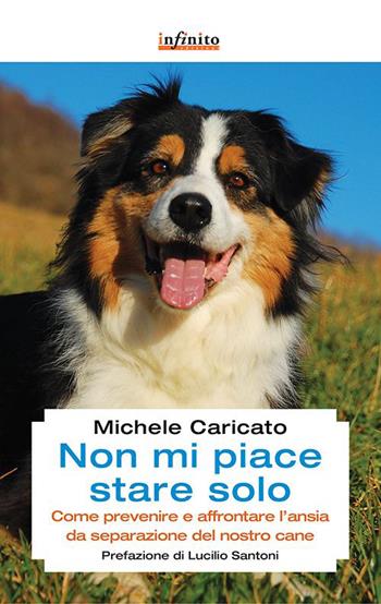 Non mi piace stare solo. Come prevenire e affrontare l'ansia da separazione del nostro cane - Michele Caricato - Libro Infinito Edizioni 2015, Grandangolo | Libraccio.it