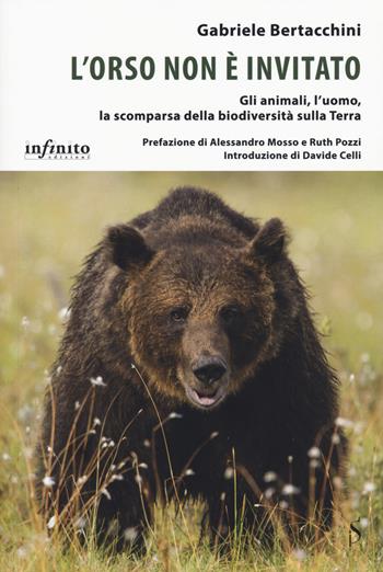 L' orso non è invitato. Gli animali, l'uomo, la scomparsa della biodiversità sulla Terra - Gabriele Bertacchini - Libro Infinito Edizioni 2020 | Libraccio.it