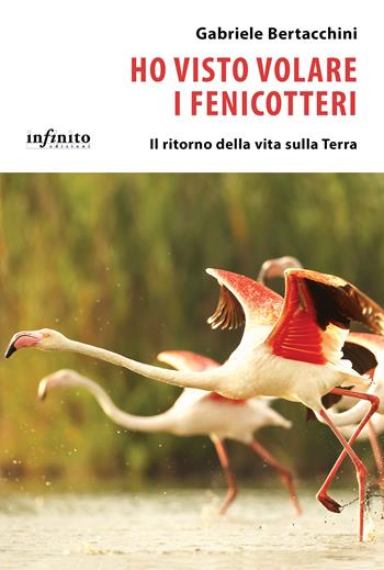 Ho visto volare i fenicotteri. Il ritorno della vita sulla Terra - Gabriele Bertacchini - Libro Infinito Edizioni 2024, I saggi | Libraccio.it