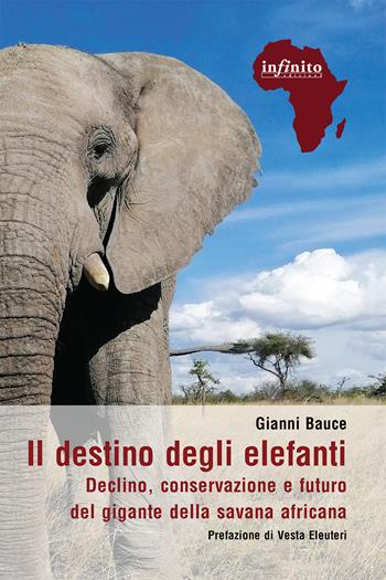 Il destino degli elefanti. Declino, conservazione e futuro del gigante della savana africana - Gianni Bauce - Libro Infinito Edizioni 2024, Afriche | Libraccio.it