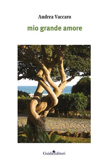 Mio grande amore - Andrea Vaccaro - Libro Guida 2015 | Libraccio.it