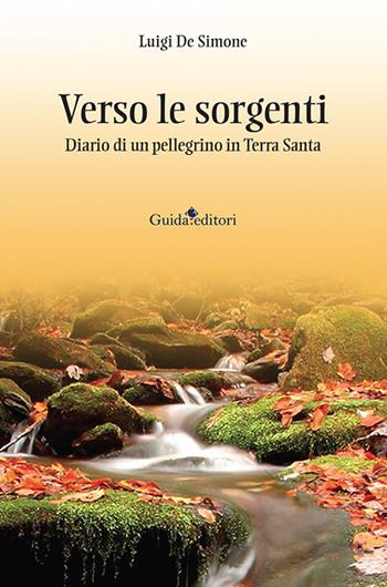 Verso le sorgenti. Diario di un pellegrino in Terra Santa - Luigi De Simone - Libro Guida 2022, Pagine d'autore | Libraccio.it