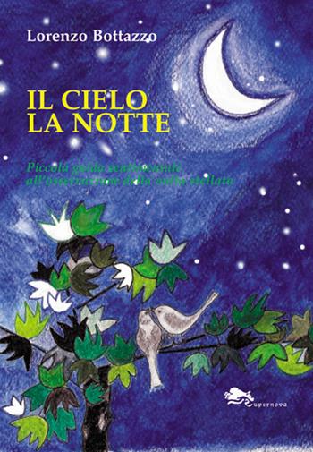 Il cielo la notte. Piccola guida sentimentale all'osservazione della volta stellata - Lorenzo Bottazzo - Libro Supernova 2016, Saggi | Libraccio.it