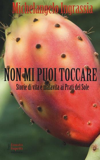 Non mi puoi toccare. Storie di vita e malavita ai Prati del Sole - Michelangelo Ingrassia - Libro Fausto Lupetti Editore 2017, Narrativa | Libraccio.it