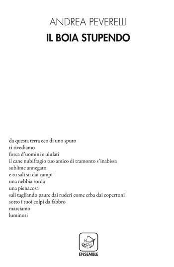 Il boia stupendo - Andrea Peverelli - Libro Ensemble 2020, Alter | Libraccio.it