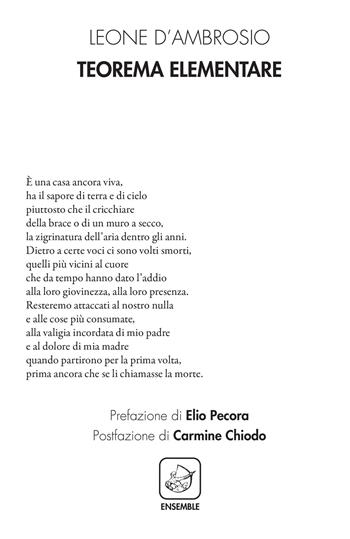 Teorema elementare - Leone D'Ambrosio - Libro Ensemble 2022, Alter | Libraccio.it