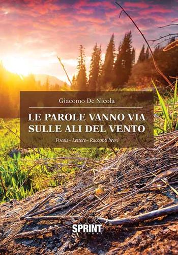 Le parole vanno via sulle ali del vento - Giacomo De Nicola - Libro BooksprintEdizioni 2015 | Libraccio.it