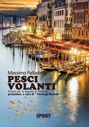 Pesci volanti - Massimo Palladino Minneci - Libro BooksprintEdizioni 2015 | Libraccio.it