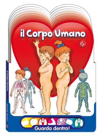 Il corpo umano - Anna Curti, Giovanna Mantegazza - Libro La Coccinella 2014, Guarda dentro! | Libraccio.it