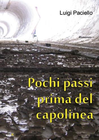 Pochi passi prima del capolinea - Luigi Paciello - Libro Montag 2016, Le Fenici | Libraccio.it