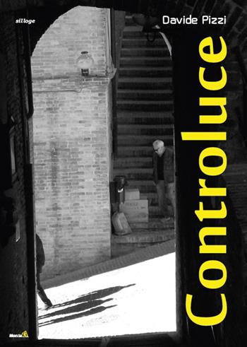 Controluce - Davide Pizzi - Libro Edizioni Montag 2017, Solaris | Libraccio.it