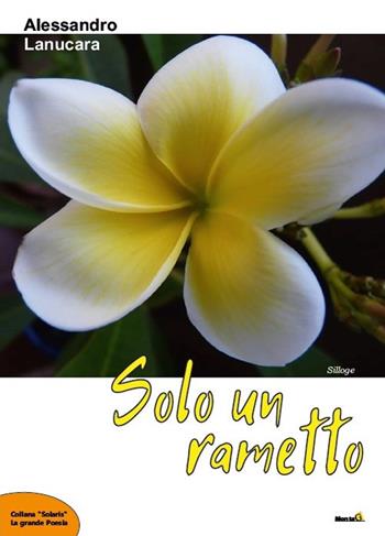 Solo un rametto - Alessandro Lanucara - Libro Montag 2019, Solaris | Libraccio.it