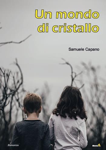 Un mondo di cristallo - Samuele Capano - Libro Edizioni Montag 2019, Le Fenici | Libraccio.it