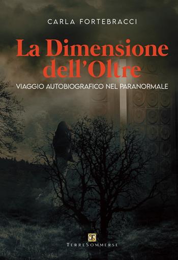La dimensione dell'oltre. Viaggio autobiografico nel paranormale - Carla Fortebracci - Libro Ass. Terre Sommerse 1900 | Libraccio.it