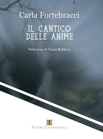 Il cantico delle anime - Carla Fortebracci - Libro Ass. Terre Sommerse 2022 | Libraccio.it