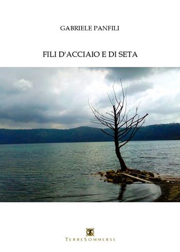 Fili d'acciaio e di seta - Gabriele Panfili - Libro Ass. Terre Sommerse 2022 | Libraccio.it