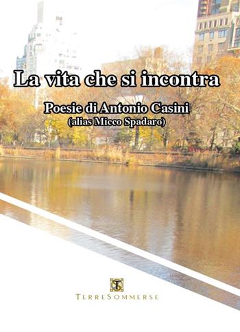 La vita che si incontra - Antonio Casini - Libro Ass. Terre Sommerse 2024 | Libraccio.it