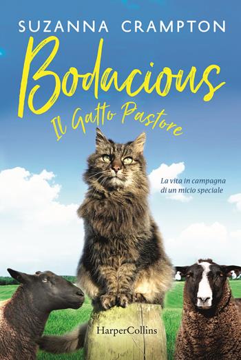 Bodacious. Il gatto pastore - Suzanna Crampton - Libro HarperCollins Italia 2019 | Libraccio.it