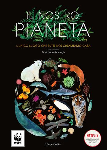 Il nostro pianeta. L'unico luogo che tutti noi chiamiamo casa. Ediz. a colori - Matt Whyman, Richard Jones - Libro HarperCollins Italia 2019 | Libraccio.it