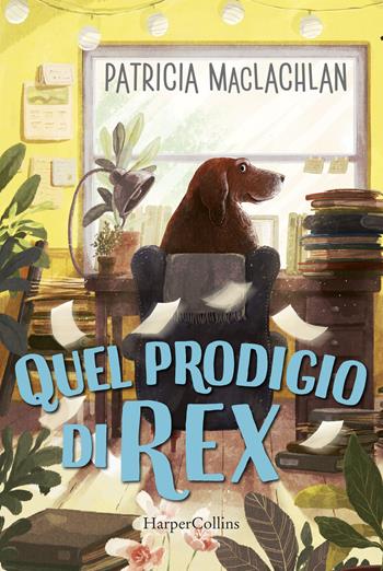 Quel prodigio di Rex! - Patricia McLachlan - Libro HarperCollins Italia 2021 | Libraccio.it