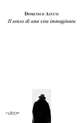 Il senso di una vita immaginata - Domenico Astuti - Libro Nulla Die 2018, Lego parva res. I romanzi Nulla die | Libraccio.it